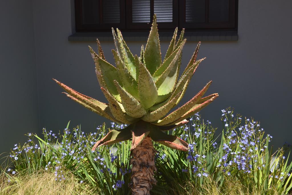 Be At Home Guesthouse Klerksdorp Εξωτερικό φωτογραφία
